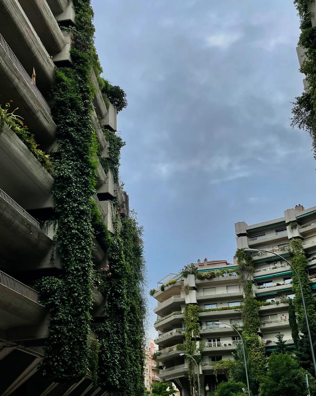 Carlos del Pozo Valdés